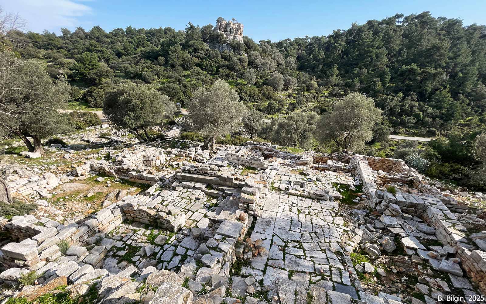 Pedasa Athena Sanctuary