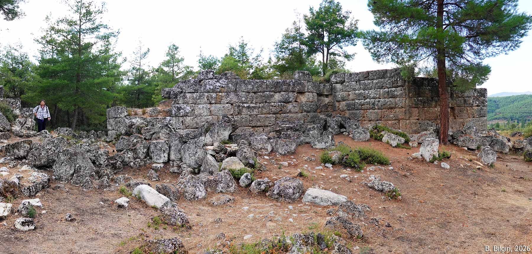 Hyllarima surları