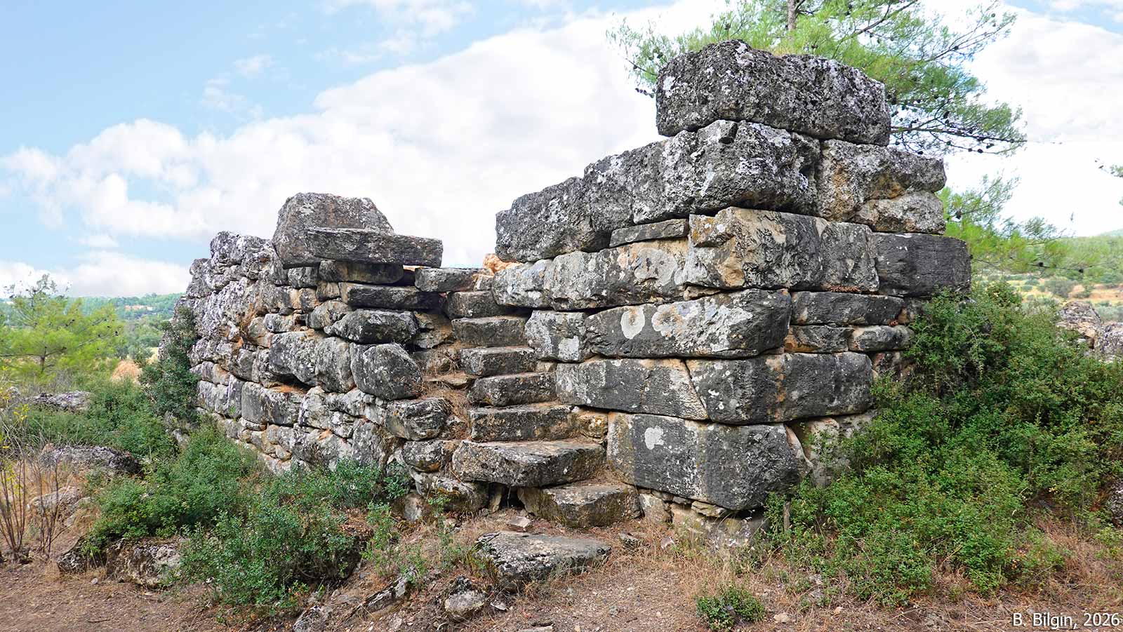 Hyllarima surları